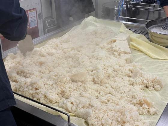 Steamed rice for fermentation at Baekkyung Distillery