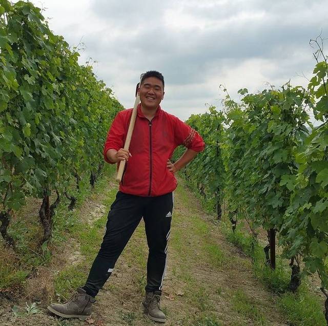 Youngbock Lee working in a vineyard in Italy