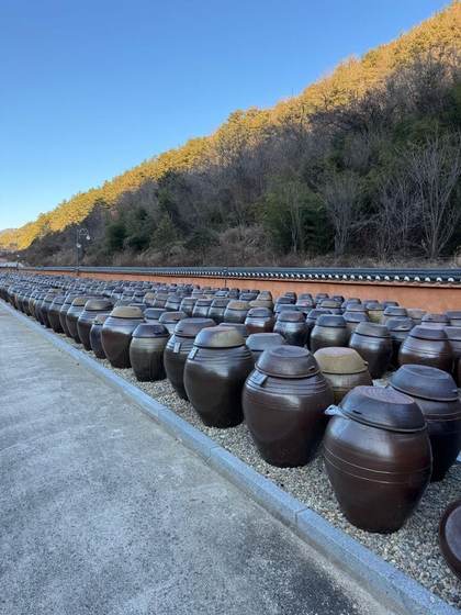 Rows of onggi jars at Jukjangyeon