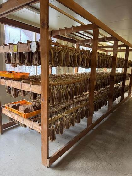 Meju blocks drying on racks at Jukjangyeon