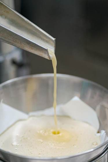 Pressing perilla oil