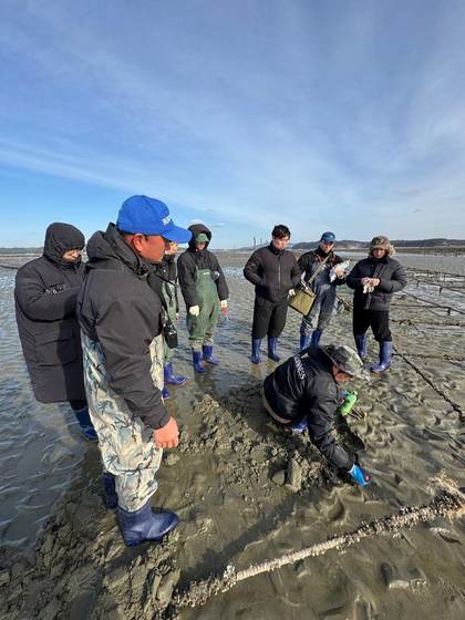 Learning about coastal aquaculture at Taean's mudflats
