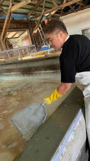 Scooping brine at a traditional Taean salt farm